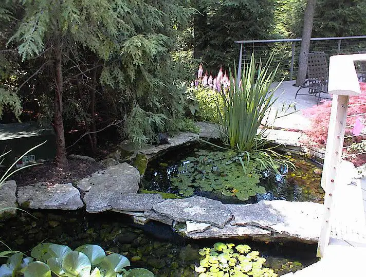 000515-011 landscaping with water feature and stone surrounds by Riepenhoff Landscape