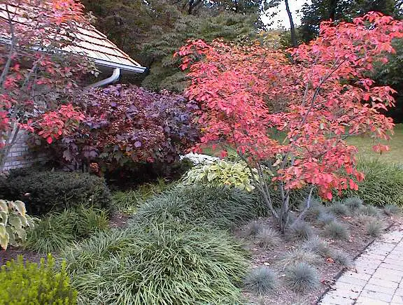 031009-007 residential landscaping by Riepenhoff Landscape