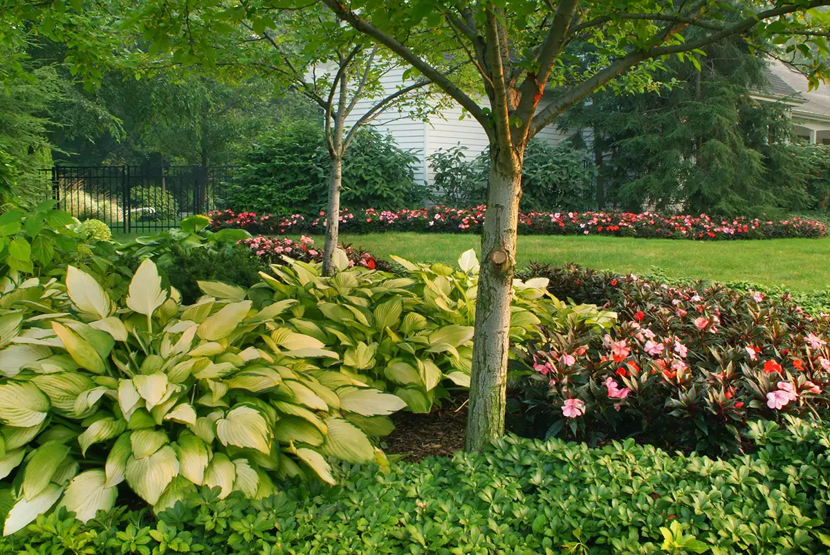 Gill06 residential landscaping by Riepenhoff Landscape