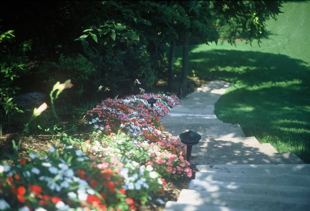 Picture4 stone steps and landscaping by Riepenhoff Landscape