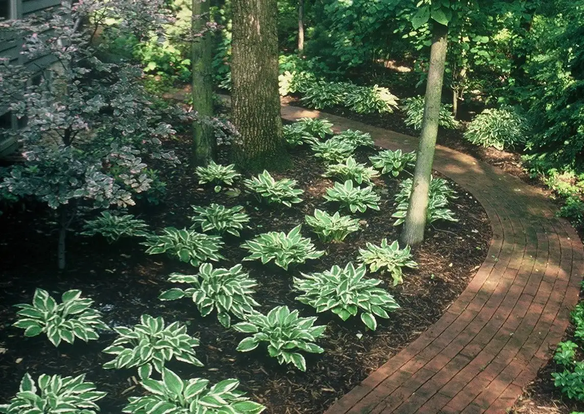 shade gardem residential landscaping by Riepenhoff Landscape